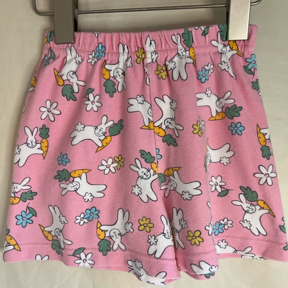 EUC size 2/3 CWD Spring Rabbit 3 piece set - Picture 4 of 7